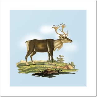 Reindeer Colorful Nature Illustration Posters and Art